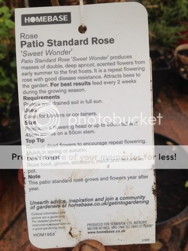 Photobucket Pictures, Images and Photos